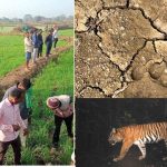 भानुप्रतापपुर में भालू ने चार लोगों पर किया हमला, दो की मौत, घायलों का इलाज जारी