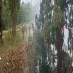 नगरीय निकाय चुनाव : महापौर और अध्यक्ष पदों के लिए कल होगी आरक्षण प्रक्रिया