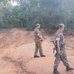 नगरीय निकाय चुनावों का ऐलान : कांग्रेस ने चुनाव परिणाम की तारीखों पर उठाए सवाल, आयोग को लिखा पत्र