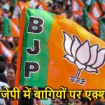 Exit Poll Results: दिल्ली में बन रही बीजेपी की सरकार, एग्जिट पोल के नतीजे आए सामने