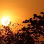 बीजापुर में मुठभेड़ : सुरक्षाबलों ने 8 नक्सलियों को सुलाया मौत की नींद; भारी मात्रा में हथियार बरामद