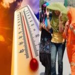 राजधानी में कचरे के ढेर से मिला जापान की एक महिला पासपोर्ट,वीजा के साथ कई शहरों का टिकट मिला