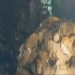 दुर्ग में कांग्रेस नेता राजेंद्र साहू के यहां भी ED की छापेमारी, खंगाल रहे हैं दस्तावेज