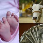 Mhow: चैंपियंस ट्रॉफी में भारत की जीत के बाद हिंसा, पेट्रोल बम फेंके, घर-दुकानें जलाईं, आर्मी ने संभाला मोर्चा