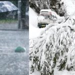 सुकमा में ACB और EOW की टीम ने की छापेमारी ,DFO समेत कई कारोबारियों के ठिकानों पर कार्रवाई जारी