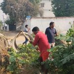 Breaking : महादेव सट्टा एप मामला: पूर्व CM भूपेश बघेल के खिलाफ FIR, सीबीआई ने बनाया आरोपी
