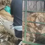 मुर्शिदाबाद हिंसा : मामले की जांच करेगी एसआईटी; नौ सदस्यीय टीम गठित