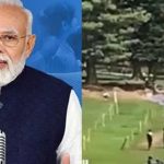 MP के मंदसौर में भीषण सड़क हादसा: बाइक को टक्कर मारकर कुएं में गिरी वैन, 7 लोगों की मौत