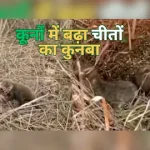आज का राशिफल 28 मार्च : मालव्य राजयोग से वृषभ, कन्या और मकर राशि वालों की चमकेगी किस्मत, जानें अपना भविष्यफल