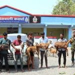 India-Pakistan : पाकिस्तान को भारत ने दिया एक और बड़ा झटका,सेंधा नमक के ऑर्डर रद्द, इन सामानों पर भी लगी रोक