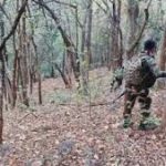 गुजरात में तूफानी बारिश से तबाही : 14 लोगों की मौत और 16 घायल; तीन दिन का रेड अलर्ट जारी