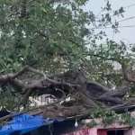 धूल भरी आंधी से दिल्ली में उड़ानें प्रभावित : एयरपोर्ट पर लैंडिंग-टेकऑफ में हड़कंप: 100 फ्लाइट्स लेट, 40 डायवर्ट