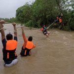 कोरिया : गुरु घासीदास टाइगर रिजर्व में आए नन्हे मेहमान, बाघिन ने दो शावकों को दिया जन्म