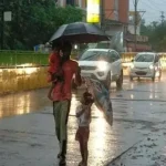 तस्करों को रोकने जंगल पहुंचे वन विभाग की टीम पर कुल्हाड़ी , डंडों से हमला, डिप्टी रेंजर हुए घायल