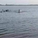 अरपा भैंसाझार परियोजना घोटाला : तत्कालीन SDM आनंद स्वरुप तिवारी निलंबन आदेश जारी
