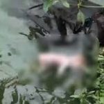 सीएम साय ने सुनी ‘मन की बात’ की 123वीं कड़ी: पीएम मोदी के विचारों ने बढ़ाया उत्साह, छोटे प्रयासों से बड़े बदलाव की अपील