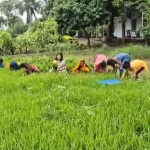 बीआरआरसी से पूर्णानन्द मिश्रा ने दिया इस्तीफा संगठन ने वापस ली शिकायत मामले का हुआ आधा पटाक्षेप