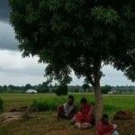 छत्तीसगढ़ में सुबह-सुबह लगे भूकंप के झटके, हिलने लगे दरवाजे-खिड़कियां, घरों से बाहर निकले लोग
