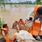 जैतूसाव मठ में धूमधाम से मनाया गया श्रावण झूला महोत्सव,लगाया गया छत्तीसगढ़ी पकवान का भोग