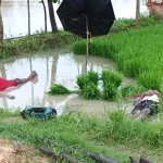 अम्बिकापुर-कटघोरा नेशनल हाइवे में भीषण सड़क हादसा : शिक्षक-शिक्षिकाओं के वाहन को ट्रक ने मारी टक्कर,दो की मौत