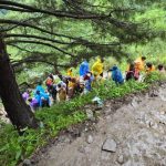 परिणीति और राघव के बनने वाले हैं पेरेंट्स, उनके घर जल्द गूंजने वाली है किलकारी, एक्ट्रेस ने अनाउंस की प्रेग्नेंसी