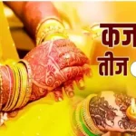 भारी बारिश ने मचाई तबाही , रोकी गई अमरनाथ यात्रा, अन्य राज्यों में भी हालात सुधारने जुटी सेना