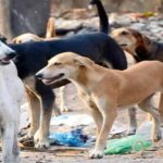 सोशल मीडिया बैन मामले में नेपाल की संसद में घुसे Gen-Z प्रदर्शनकारी, फायरिंग और बवाल,हालात बेकाबू