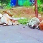 रावतपुरा मेडिकल कॉलेज मान्यता रिश्वत कांड में कर्नाटक सरकार ने 3 डॉक्टर्स को किया सस्पेंड