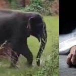 कलेक्टर कॉन्फ्रेंस 2025 : 15 नवंबर से होगी धान खरीदी, कलेक्टरों को धान खरीदी की तैयारियां करने के निर्देश