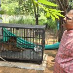 बस्तर से नक्सलियों का बड़ा ऐलान: माड़ डिवीजन कमेटी ने किया हथियार डालने का निर्णय,पत्र जारी किया