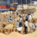 महासमुंद में भीषण सड़क हादसा : मवेशी को बचाने कार पलटी, 3 लोगों की मौत, 2 लोग घायल