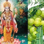 जानिए कब और कहां टकराएगा साइक्लोन मोंथा, आंध्र, ओडिशा- बंगाल में भारी बारिश का अलर्ट, स्कूल बंद