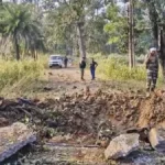 नहीं रही जंगल सफारी की बिजली, गुजरात के वनतारा में तोड़ा दम,गर्भाशय और किडनी के इंफेक्शन से थी पीड़ित