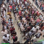 बाघिन ‘बिजली’ का होगा जामनगर में इलाज,वन मंत्री केदार कश्यप के निर्देश पर की गई विशेष पहल