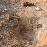 गुजरात : 26 नए मंत्रियों ने लिया शपथ , जीतू वाघाणी बने मंत्री; हर्ष सांघवी राज्य के नए डिप्टी सीएम