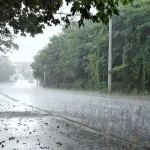 निष्कासित कांग्रेस नेता निकला मस्तूरी में कांग्रेस नेता पर गोली चलवाने वाला मास्टरमाइंड, पुलिस ने किया खुलासा