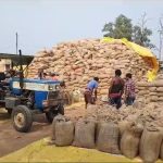 जंगल से निकलकर रास्तों में घूम रहा हाथियों का झुंड, गांवों के लिए जारी किया गया अलर्ट