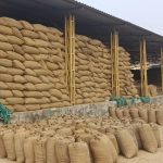 आज का राशिफल 15 नवंबर : वृषभ, कन्या और तुला राशि को मिलेगा शुभ योग का लाभ, जानें अपना राशिफल