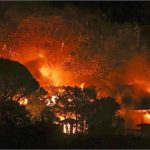 CG Weather : उत्तर भारत से आ रही ठंडी हवाएं छत्तीसगढ़ में बढ़ रही ठिठुरन, इन जिलों के लिए जारी किया गया शीतलहर का अलर्ट