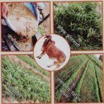 एनडीपीएस प्रकरणों के फायनेंसियल इन्वेस्टिगेशन पर हुई  एक दिवसीय कार्यशाला 