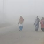 बिलासपुर ट्रेन हादसा : मरने वालों की संख्या बढ़कर 11 हुई ,20 से ज्यादा घायल