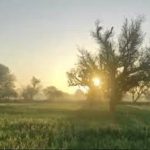 आधे घंटे में बिक गई रायपुर में होने वाले मैच की टिकटें, कालाबाजारी की आशंका