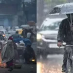 CG Accident : जांजगीर-चांपा में भीषण सड़क हादसा, ट्रक की टक्कर से स्कॉर्पियो सवार 5 लोगों की मौत, तीन गंभीर