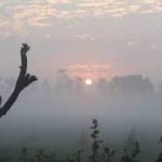 भारत- साउथ अफ्रीका मैच के लिया स्टेडियम में तैयारी पूरी, आज से ऑफलाइन टिकटों की होगी बिक्री