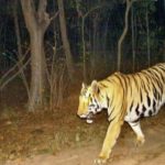 गुजरात सरकार की योजनाओं को जानने के लिए दो दिवसीय गुजरात दौरे पर रवाना हुए सीएम साय