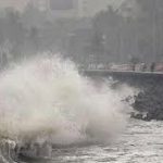 कनाडा में कपिल शर्मा के कैफे पर गोलीबारी की साजिश रचने वाला गैंगस्टर गिरफ्तार, गोल्डी ढिल्लों गैंग से है कनेक्शन