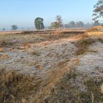 DSP कल्पना वर्मा पर आरोपों के खिलाफ जाँच शुरू, पूछताछ के लिए पहुंची थी एसपी ऑफिस