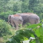 भारत ने बांग्लादेश के उच्चायुक्त को किया तलब, ‘सेवन सिस्टर्स’ पर विवादित बयान के बाद भारत सख्त