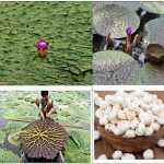 शासन के 2 वर्ष : जनविश्वास से जनकल्याण तक – शासन की जनकल्याणकारी योजनाओं से समग्र विकास की ओर तेजी से आगे बढ़ रहा है छत्तीसगढ़ – मुख्यमंत्री साय