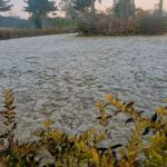 CG Breaking : सुकमा में सुबह से नक्सलियों और सुरक्षा बलों के बीच मुठभेड़ जारी , 2-3 माओवादियों को ढेर करने की खबर